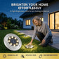 🔥 Hot sale 50% korting🔥 Roestvrijstalen grondlamp op zonne-energie met 8 LED-lampen