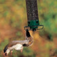 Uitverkoop laatste dag 50%-Proof Bird Feeder