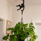 Apenhanger (set van 2) | Bananenhouder & multifunctionele ophanghaken