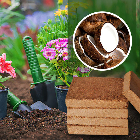 Biologische Kokosnoot Coir voor Planten