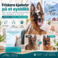 🎁 Bestselger 🔥 Praktiske og effektive engangsservietter til kjæledyr 🐾 spa-hansker, allergivennlige, 6 stk.