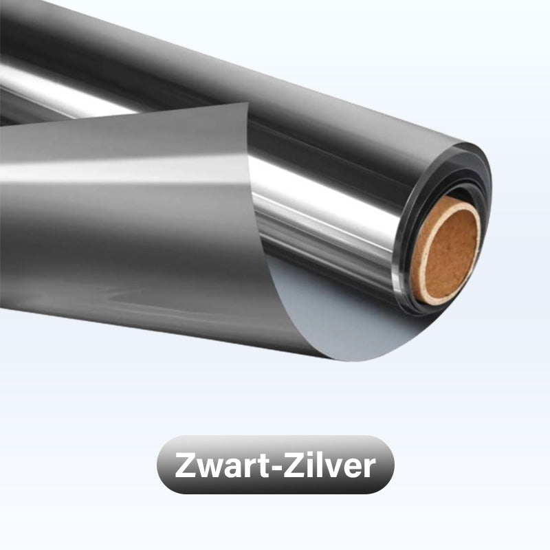 Zwart-Zilver