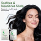 ⏳Beperkte tijd 60% korting⏰Rosemary Amino Acid Moisturizing Shampoo🌿🧴