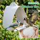 Modern Hanging Bird Feeder for Outdoor Gardens