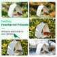 Modern Hanging Bird Feeder for Outdoor Gardens