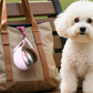 🐾 Opvouwbare drinkfles voor huisdieren – Draagbaar, lekvrij en perfect voor op reis ✨💧