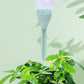 Justerbart Selvvaningsspyd for Planter