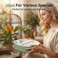 💐 50% KORTING! Elektrisch vogelbad – Weerbestendig & Gemakkelijk schoon te maken ❄️🧽【Flash Sale】