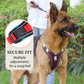 🐕 50% KORTING! 🔦 Anti-trek hondenharnas met LED-lijn en halsband – vermindert druk, zacht nylon en perfect voor nachtelijke wandelingen en training 🌙