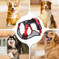🐕 50% KORTING! 🔦 Anti-trek hondenharnas met LED-lijn en halsband – vermindert druk, zacht nylon en perfect voor nachtelijke wandelingen en training 🌙