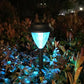 Decoratieve solarverlichting voor gebruik in de tuin of langs buitenpaden.