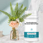 🌷 Krachtige Antibacteriële Bruistabletten voor Bloemen – Voor Langdurige Frisheid & Gezonde Bloemen! 💐✨