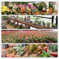 🌷 Krachtige Antibacteriële Bruistabletten voor Bloemen – Voor Langdurige Frisheid & Gezonde Bloemen! 💐✨