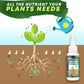 🔥Koop 1 en krijg 1 gratis (2 stuks)🔥Plantenvoedingsoplossing