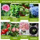 🔥Koop 1 en krijg 1 gratis (2 stuks)🔥Plantenvoedingsoplossing