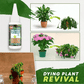 🔥Koop 1 en krijg 1 gratis (2 stuks)🔥Plantenvoedingsoplossing