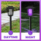 Op zonne-energie werkende 2-in-1 muggenverdelger en tuinlamp
