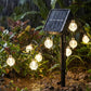 Waterdichte bubbelvormige solar lichtslinger voor terras