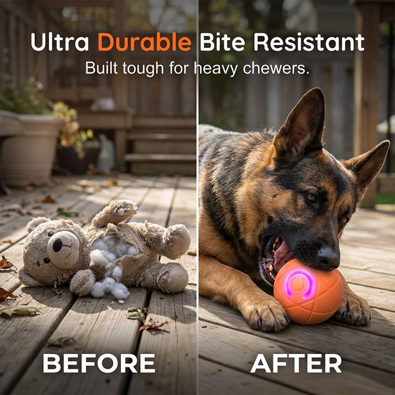 Oranje+Blauw
