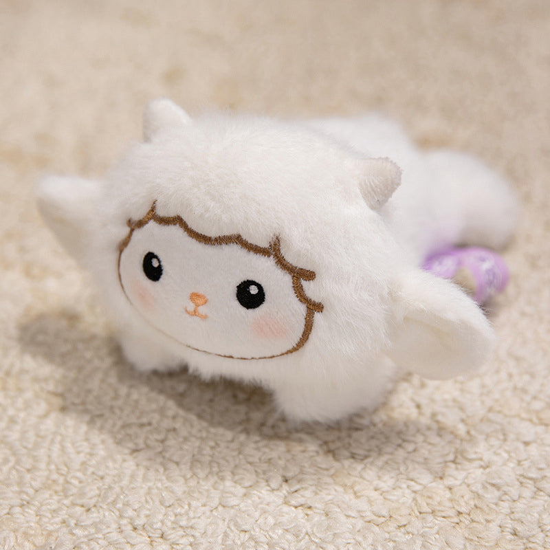 Schaap