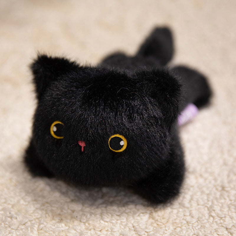 Zwarte kat