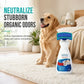 🧼 50 % RABATT I BEGRENSET PERIODE! ✨ Vannfri rens for tekstiler og tepper – skumvariant, fjerner lukt, innebygd børste 🛋️